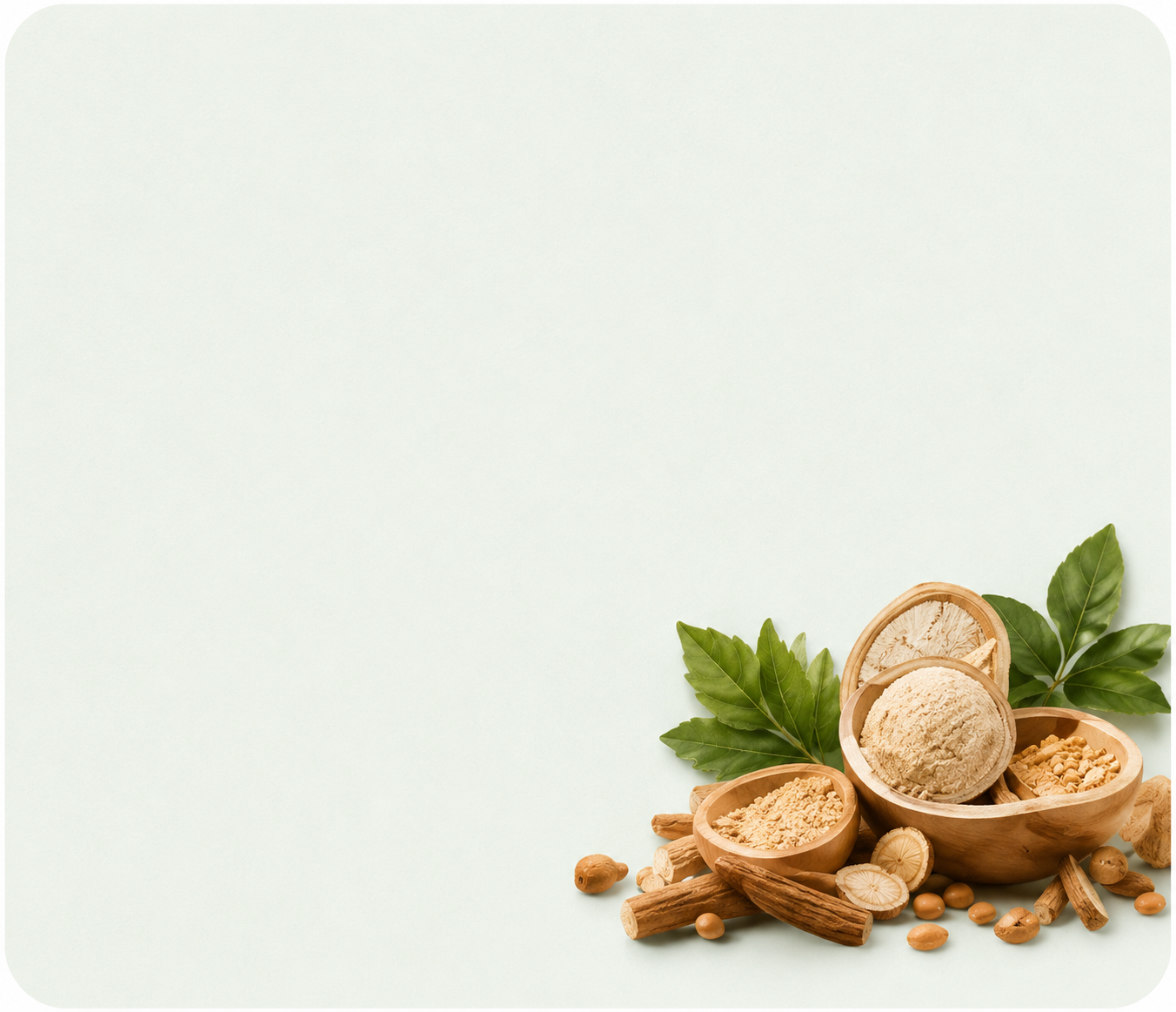Digestive Wellness