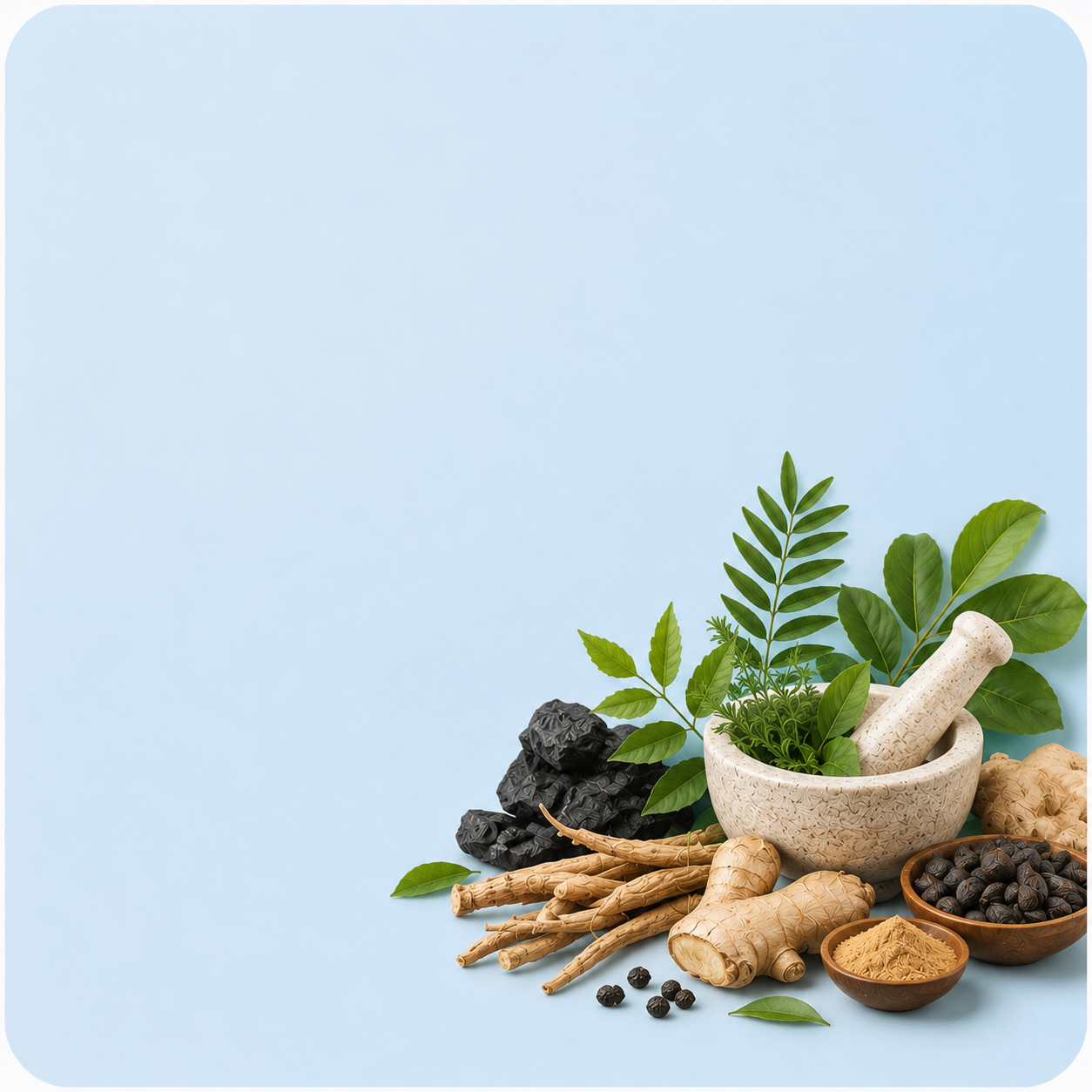 Men's Wellness