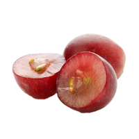 Grape Seed