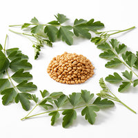 Methi